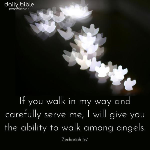 If you walk in my way and carefully serve me, I will give you the ability to walk among angels. Zecharia 3:7