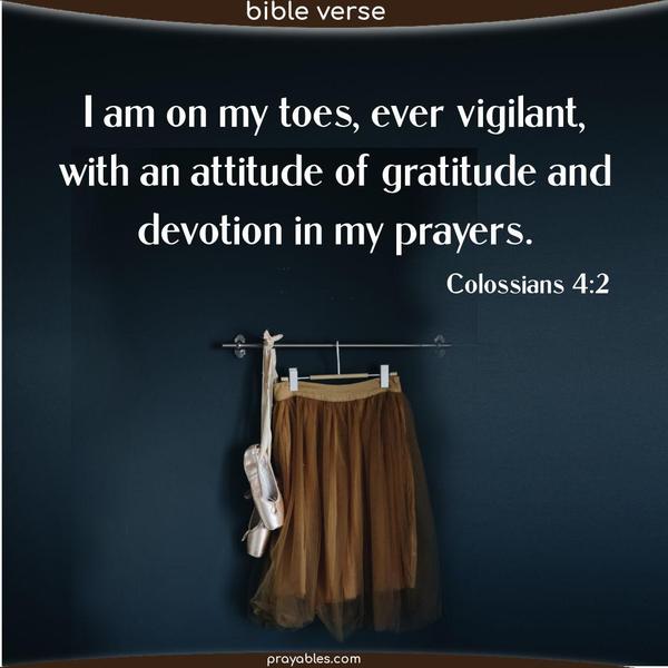 Colossians 4:2 I am on my toes, ever vigilant, with an attitude of gratitude and devotion in my prayers.