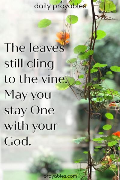 The leaves still cling to the vine, and may you stay One with your God.