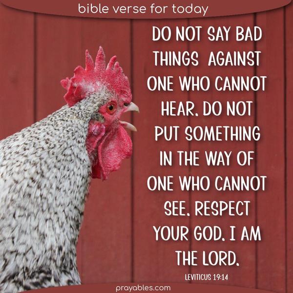 Leviticus 19:14 Do not say bad things against one who cannot hear. Do not put something in the way of one who cannot see. Respect your God. I am the Lord.