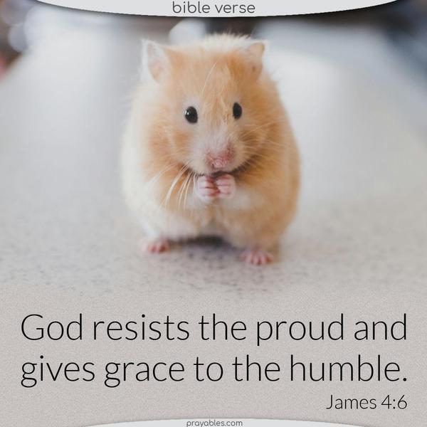 James 4:6 God resists the proud and gives grace to the humble.