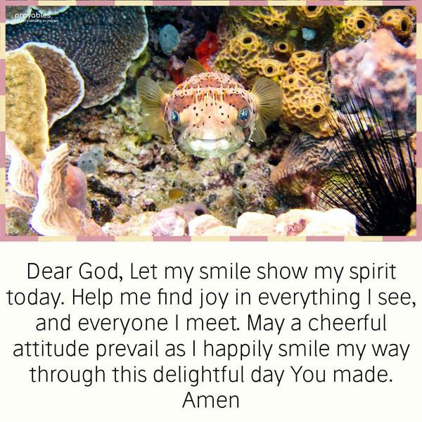 Dear God, Let my smile show my spirit today. Help me find joy in everything I see, and everyone I meet. May a cheerful attitude prevail as I happily smile my way through this delightful
day You made. Amen