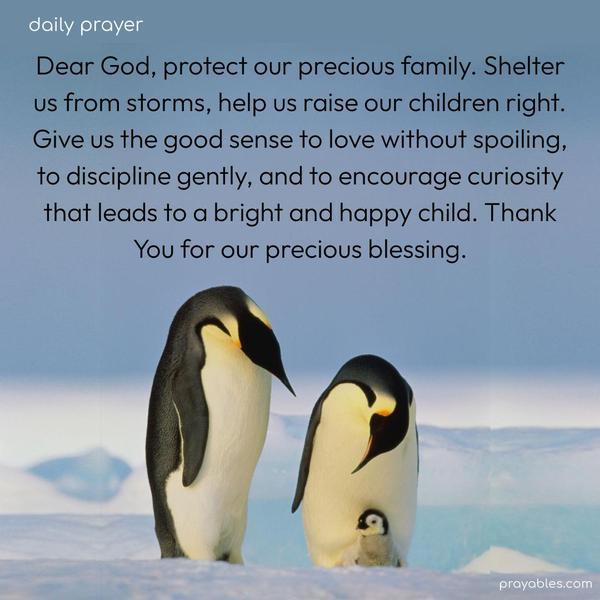 Dear God, protect our precious family. Shelter us from storms, help us raise our children right. Give us the good sense to love without spoiling, to gently discipline, and to encourage curiosity that leads to a bright and happy child. Thank You for our precious blessing.