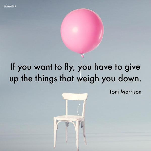 If you want to fly, you have to give up the things that weigh you down. Toni Morrison