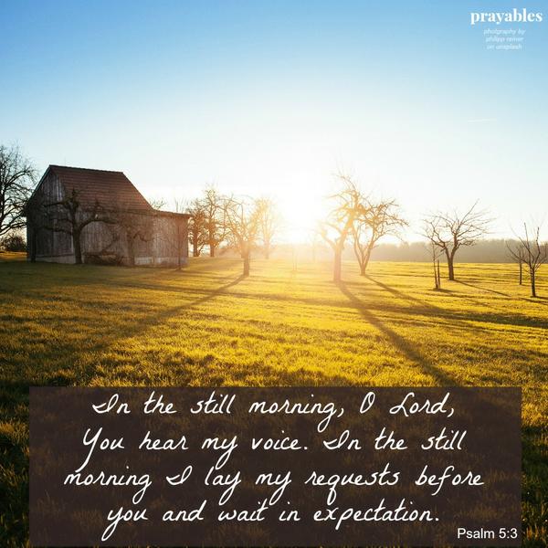 Psalm 5:3 In the still morning, O Lord, You hear my voice. In the still morning I lay my requests before you and wait in expectation.