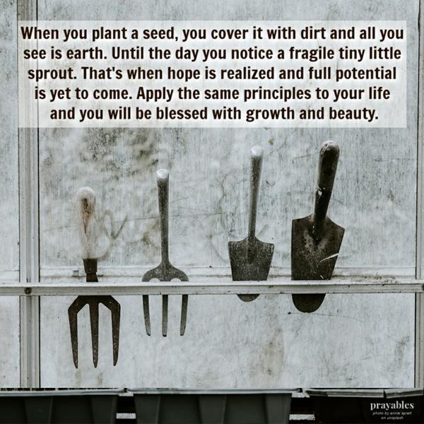 When you plant a seed, you cover it with dirt and all you see is earth. Until the day you notice a fragile tiny little sprout.
That’s when hope is realized and full potential is yet to come. Apply the same principles to your life and you will be blessed with growth and beauty.