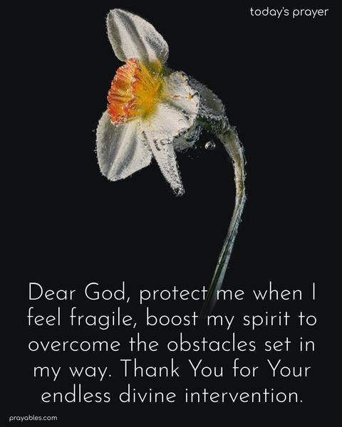 Dear God, protect me when I feel fragile, boost my spirit to overcome the obstacles set in my way. Thank You for Your endless divine intervention.