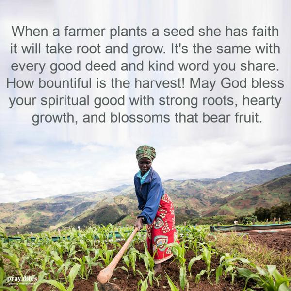 When a farmer plants a seed she has faith it will take root and grow. It’s the same with every good deed and kind word you share. How bountiful is the harvest! May God bless
your spiritual good with strong roots, hearty growth, and blossoms that bear fruit.