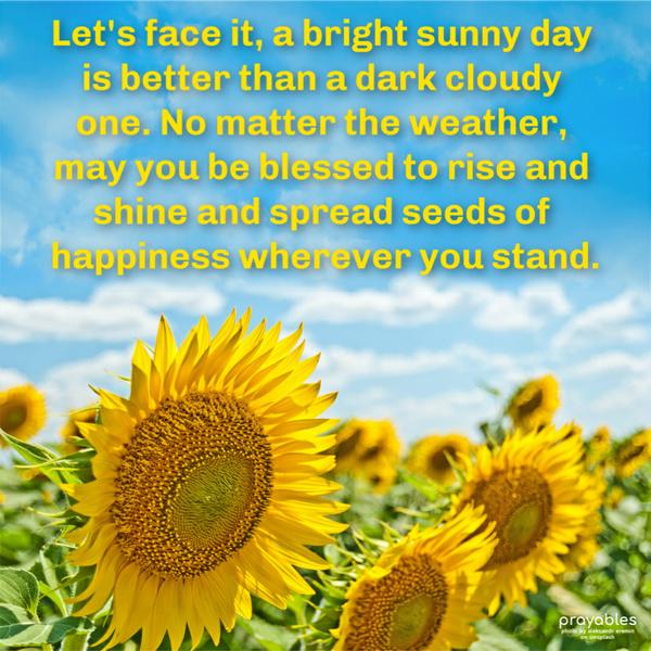 Let's face it, a bright sunny day is better than a dark cloudy one. No matter the weather, may you be blessed to rise and shine and spread
seeds of happiness wherever you stand.