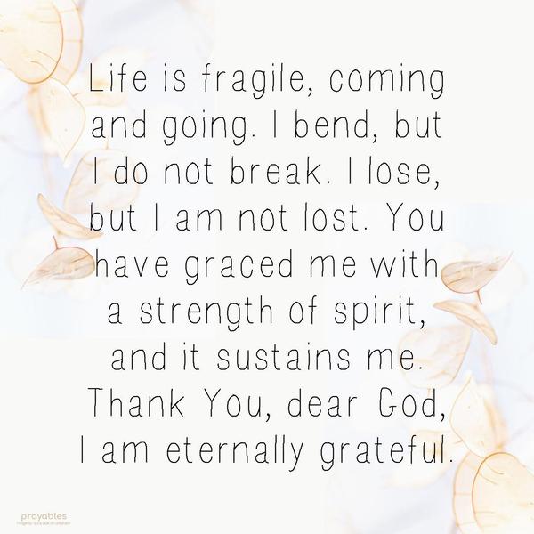 Life is fragile, coming and going. I bend, but I do not break. I lose, but I am not lost. You have graced me with a strength of spirit, and it sustains me. Thank You, dear God. I am
eternally grateful.