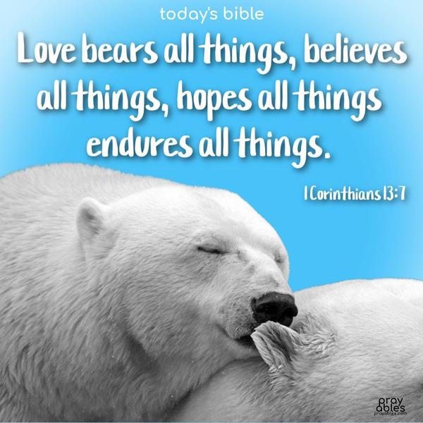 Love bears all things, believes all things, hopes all things, endures all things. 1 Corinthians 13:7