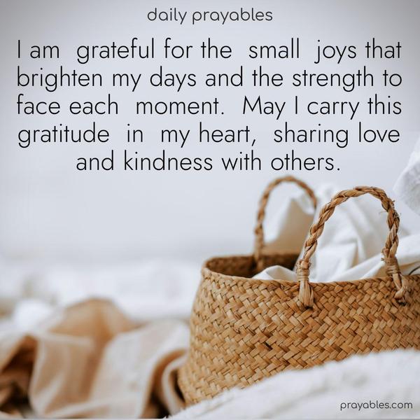 I am grateful for the small joys that brighten my days and the strength to face each moment. May I carry this gratitude in my heart, sharing kindness and love with others.