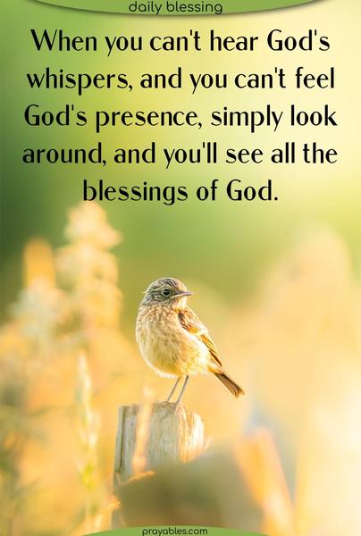 When you can’t hear God’s whispers, and You can’t feel God’s presence, simply look around, and you’ll see all the blessings of God.
