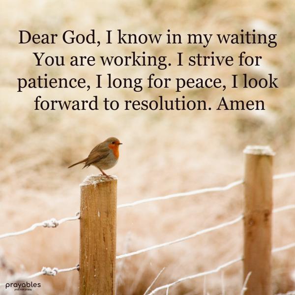 Dear God, I know in my waiting, You are working. I strive for patience. I long for peace. I look forward to resolution. Amen