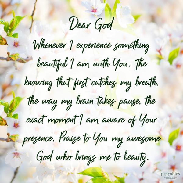 Dear God, whenever I experience something beautiful I am with You. The knowing that first catches my breath, the way my brain takes pause, the exact moment I am aware of Your
presence. Praise to You my awesome God who brings me to beauty.