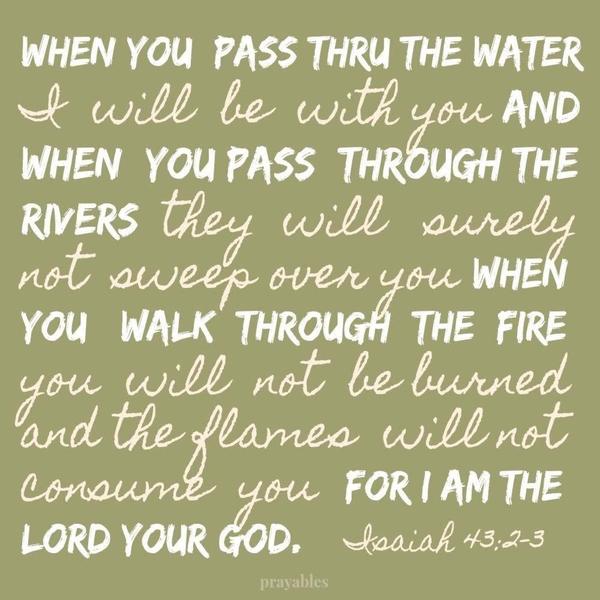 Isaiah 43:2-3 When you pass through the water, I will be with you. And when you pass through the rivers, they will surely not sweep over you. When you walk through the fire, you will not be burned and the flames will not consume you. For I am the Lord your God.