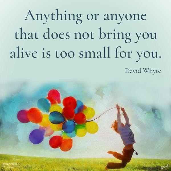 Anything or anyone that does not bring you alive is too small for you. David Whyte