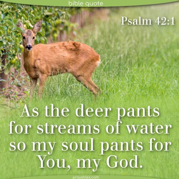 Psalm 42:1 As the deer pants for streams of water, so my soul pants for You, my God.