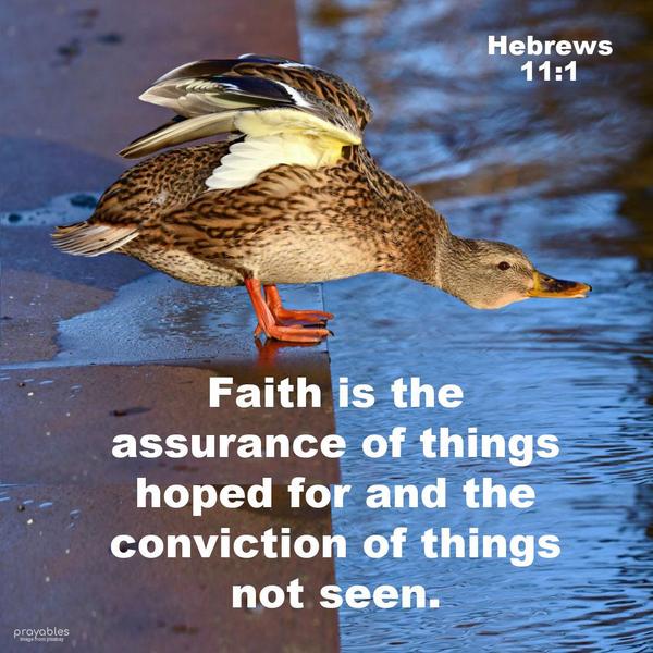 Hebrews 11:1  Faith is the assurance of things hoped for and the conviction of things not seen.