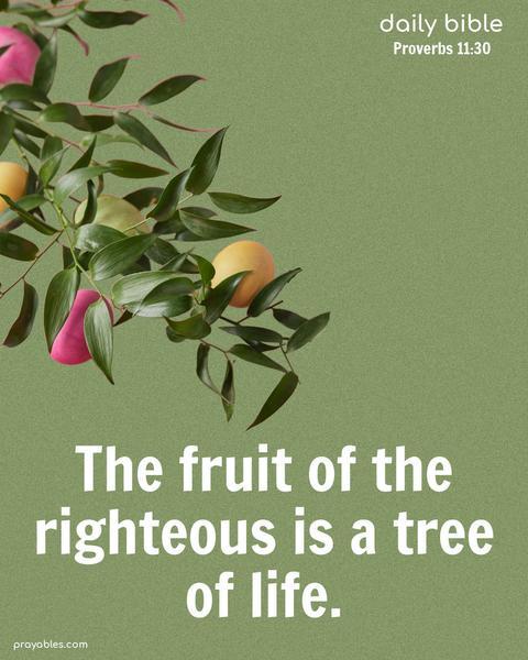 The fruit of the righteous is a tree of life. Proverbs 11:30