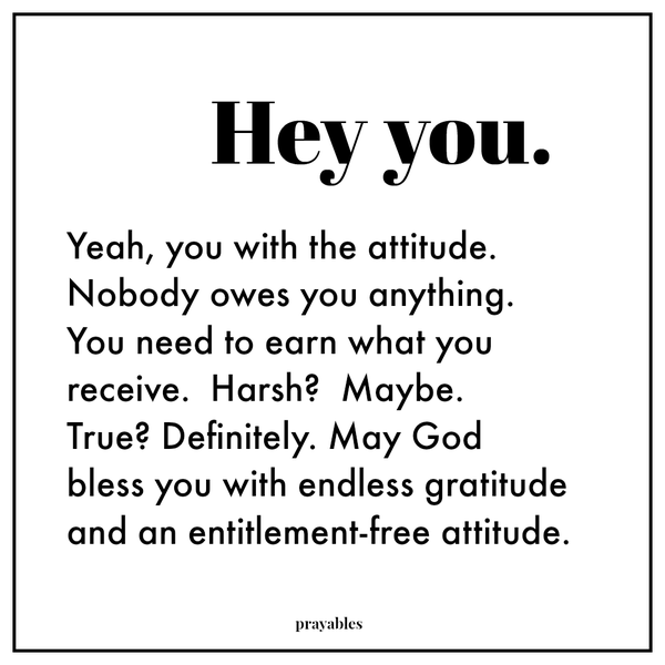 Hey you – with the attitude. Nobody owes you anything. You need to earn what you receive. Harsh? Maybe. True? Definitely. May God bless you with endless gratitude and an entitlement-free attitude.