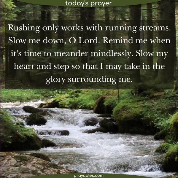 Rushing only works with running streams. Slow me down, O Lord. Remind me when it's time to meander mindlessly. Slow my heart and step so that I may take in the glory surrounding me. Inspired by Fred Levy 