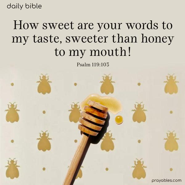 How sweet are your words to my taste, sweeter than honey to my mouth! Psalm 119:103