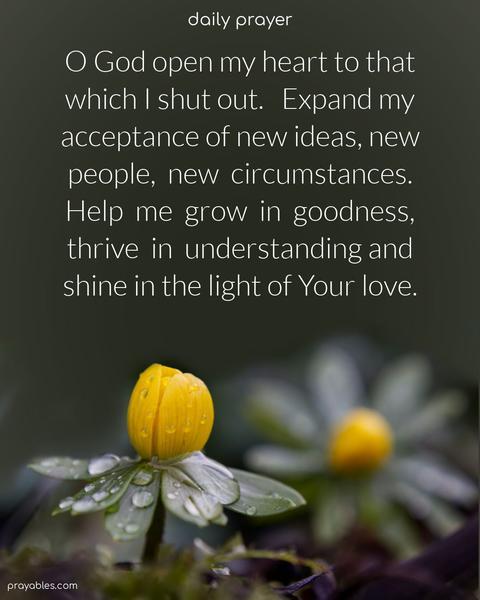 O God, open my heart to that which I shut out. Expand my acceptance of new ideas, new people, and new circumstances. Help me grow in goodness, thrive in understanding, and shine in the light of Your love.