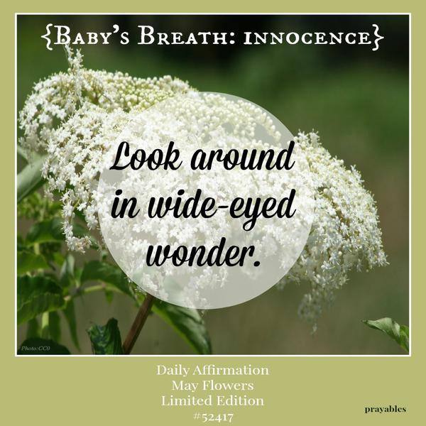 Look around in wide-eyed wonder