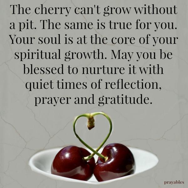 The cherry can't grow without a pit. The same is true for you. Your soul is the growth engine for your spiritual growth. May you be blessed to nurture your soul with quiet times of reflection, prayer and gratitude.