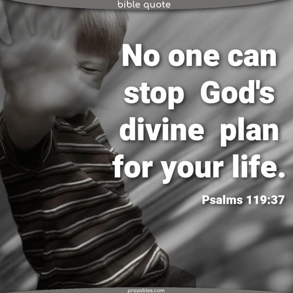 No one can stop God's divine plan for your life. ~Isaiah 14:27