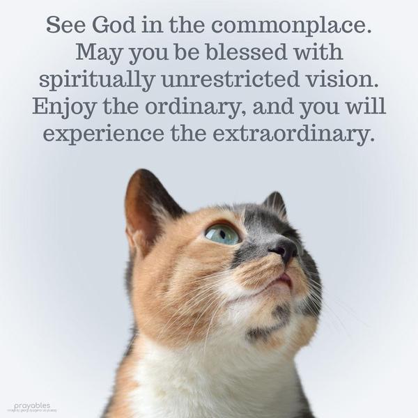 See God in the commonplace. May you be blessed with spiritually unrestricted vision. Enjoy the ordinary, and you will experience the extraordinary.