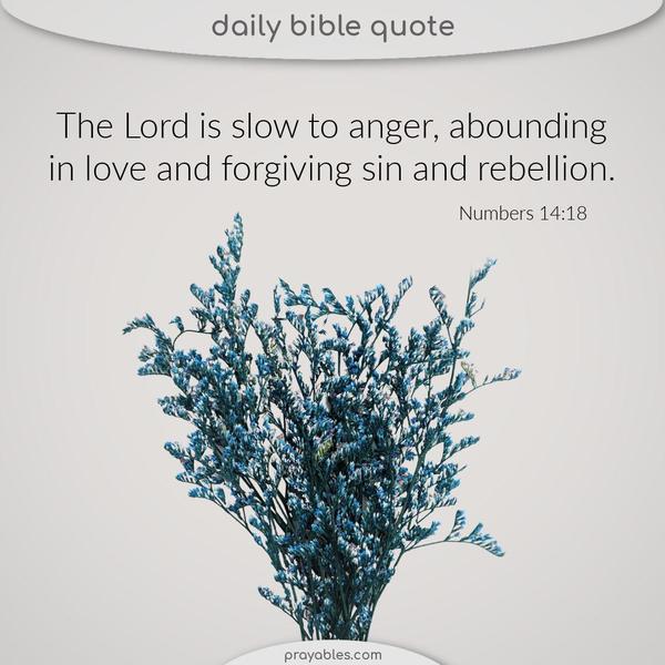 Numbers 14:18 The Lord is slow to anger, abounding in love and forgiving sin and rebellion.