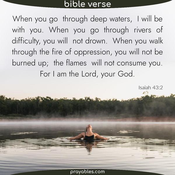 Isaiah 43:2 When you go through deep waters, I will be with you. When you go through rivers of difficulty, you will not drown. When you walk through the
fire of oppression, you will not be burned up; the flames will not consume you. For I am the Lord, your God. 