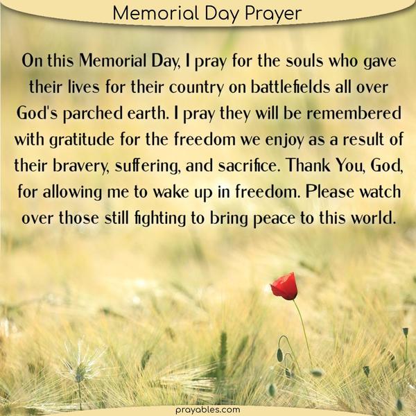 On this Memorial Day, I pray for the souls who gave their lives for their country on battlefields all over God’s parched earth. I pray they will be remembered with gratitude
for the freedom we enjoy as a result of their bravery, suffering, and sacrifice. Thank You, God, for allowing me to wake up in freedom. Please watch over those still fighting to bring peace to this world.