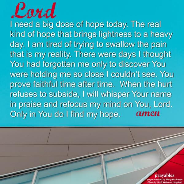 Lord I need a big dose of hope today. The real kind of hope that brings lightness to a heavy day. I am tired of trying to swallow the pain that is my reality. There were days I thought You had forgotten me only to discover You were
holding me so close I couldn’t see. You prove faithful time after time. When the hurt refuses to subside, I will whisper Your name in praise and refocus my mind on You, Lord. Only in You do I find my hope.  amen