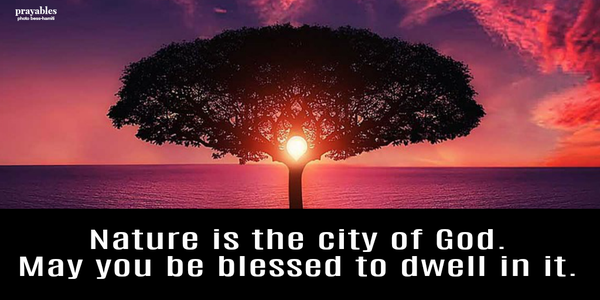 Nature is the city of God.  May you be blessed to dwell in it.