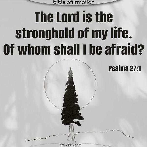 The Lord is the stronghold of my life. Of whom shall I be afraid? Psalms 27:1