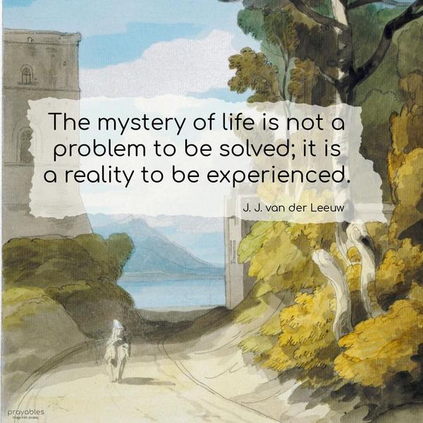 The mystery of life is not a problem to be solved; it is a reality to be experienced. J. J. van der Leeuw