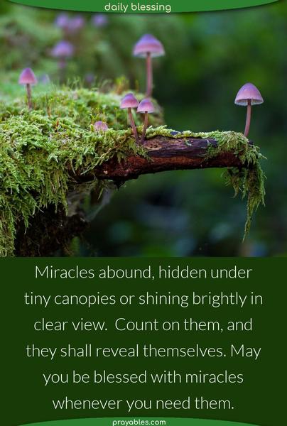 Miracles abound, hidden under tiny canopies or shining brightly in clear view.  Count on them, and they shall reveal themselves. May you be blessed with miracles whenever you need them.
