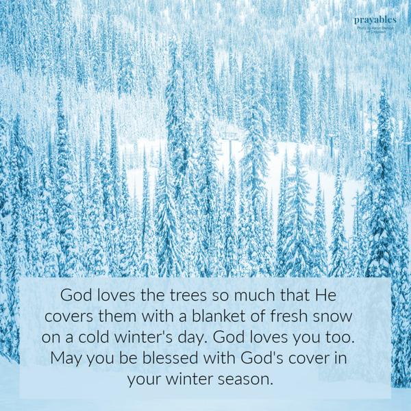 God loves the trees so much that He covers them with a blanket of fresh snow on a cold winter’s day. God loves you too. May you be blessed with God’s cover in your winter
season.