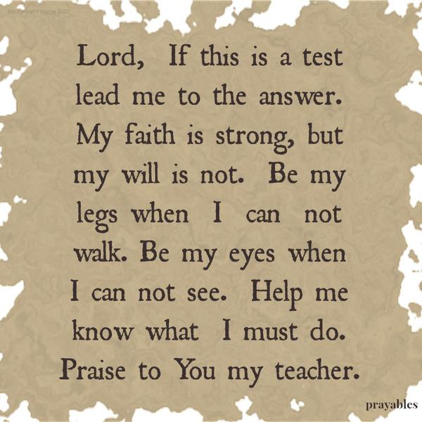 Lord, If this is a test lead me to the answer. My faith is strong, but my will is not. Be my legs when I can not walk. Be my eyes when I can not see. Help me know what I must do. Praise to You my teacher.