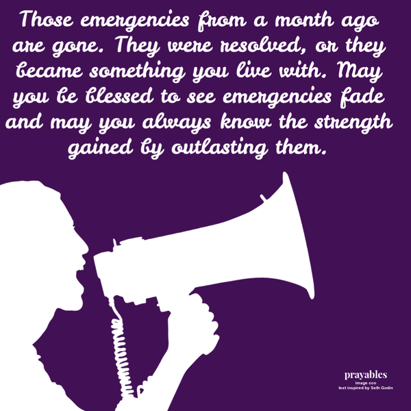 Those emergencies from a month ago are gone. They were resolved, or they became something you live with. May you be blessed to see emergencies fade and may you always know the strength gained by outlasting them. – Seth Godin (inspired)