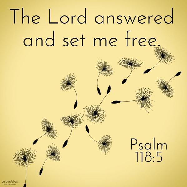 Psalm 118:5 The Lord answered and set me free.