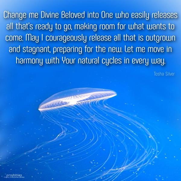 Change me Divine Beloved into One who easily releases all that’s ready to go, making room for what wants to come. May I courageously release all that is outgrown and stagnant, preparing
for the new. Let me move in harmony with Your natural cycles in every way. Tosha Silver