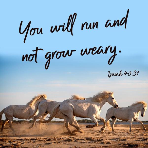 Isaiah 40:31 Hope in the Lord. You will run and not grow weary.