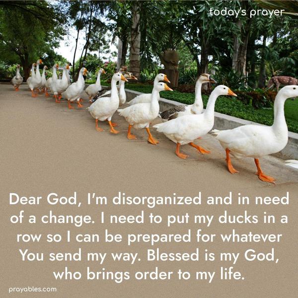 Dear God, I’m disorganized and in need of a change. I need to put my ducks in a row so I can be prepared for whatever You send my way. Blessed is my God, who brings order to my life.