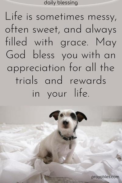 Life is sometimes messy, often sweet,  and always filled with grace. May God bless you with an appreciation for the trials and rewards in your life.