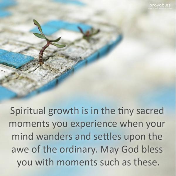 Spiritual growth is in the tiny sacred moments you experience when your mind wanders and settles upon  the awe of the ordinary. May God bless you with
moments such as these.