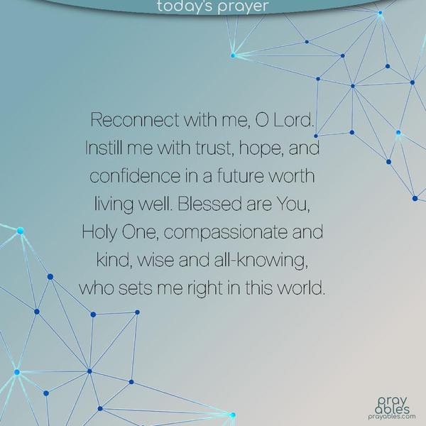 Reconnect with me, O Lord. Instill me with trust, hope, and confidence in a future worth living well. Blessed are You, Holy One, compassionate and kind, wise and all-knowing, who sets me right in this world.